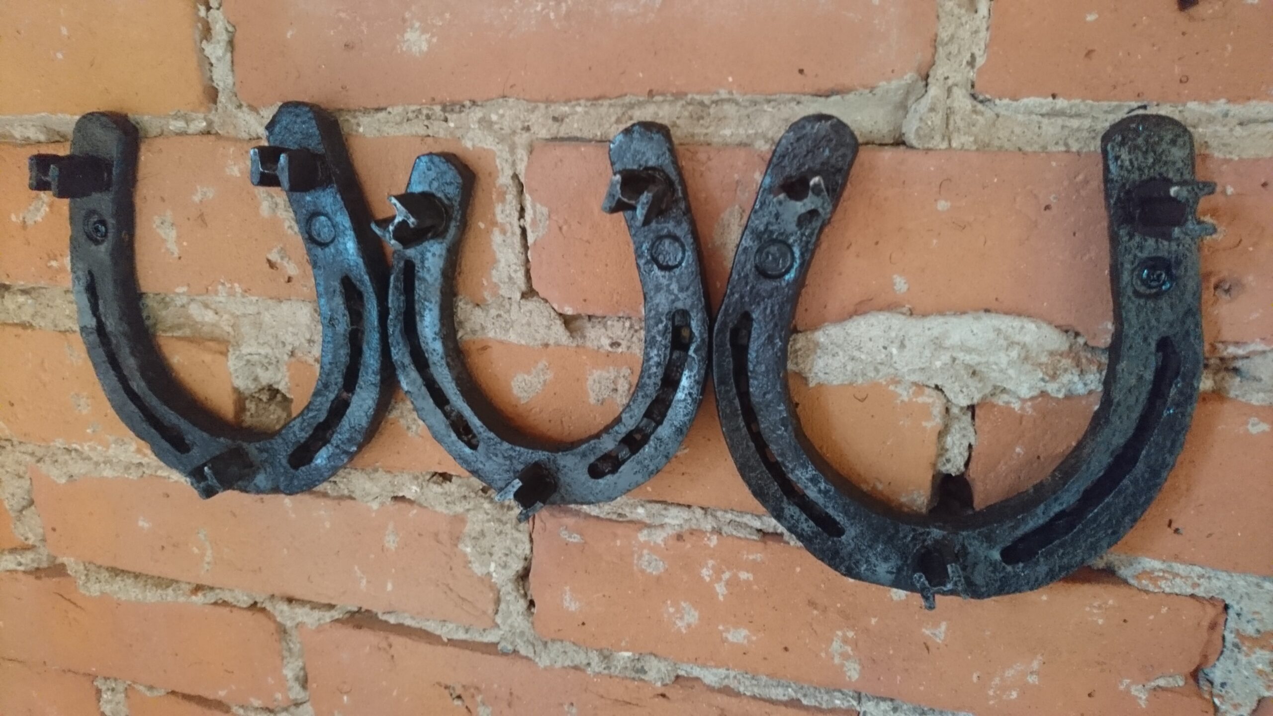 Hobuseraudadest nagi 